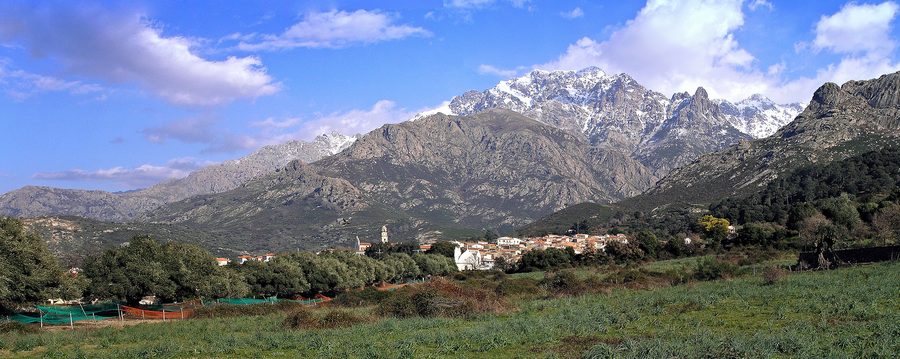 Панорама Калензаны на Корсике с оливковыми рощами