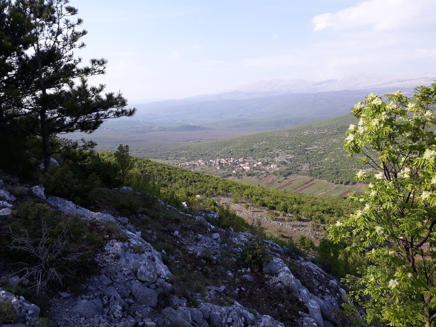 Вид на населённый пункт Велич в Хорватии