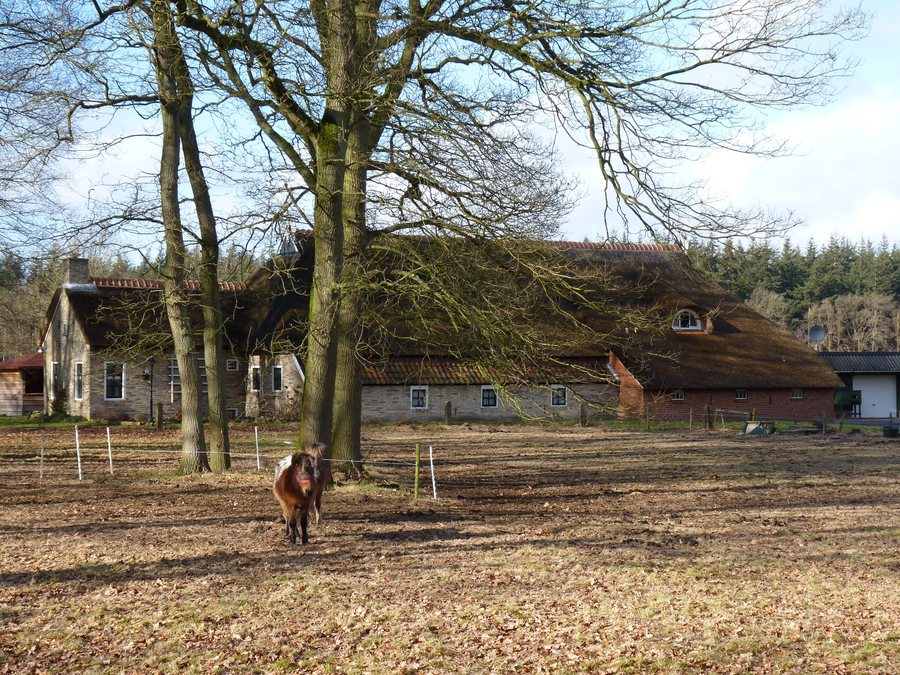 File:Bakkeveen Boerderij Mjumster Wei 37.JPG