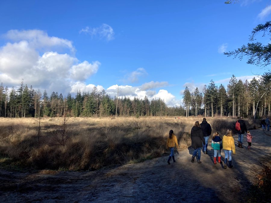 File:0560.SBB.Natuurmonumenten.Nationaal.Park.DwingelderVeld.Heide.Winter.Corona.Drukte.ZondagMiddag.wandeling.Natuurschoon.Spier.jpg