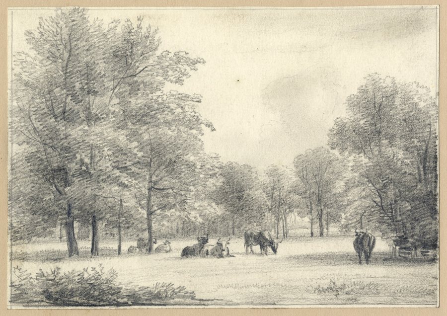 File:HUA-202550-Gezicht in het landschapspark van de buitenplaats Beukenburg aan de Beukenburgerlaan bij Groenekan gemeente Maartensdijk met enkele koeienNB De gemeen.jpg