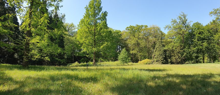 File:Landgoed Zegenwerp Sint-Michielsgestel 02.jpg
