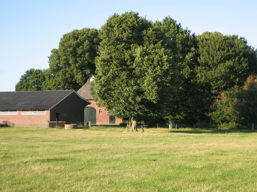 File:Vethuizen-dijkhuizerstraat-185175.jpg