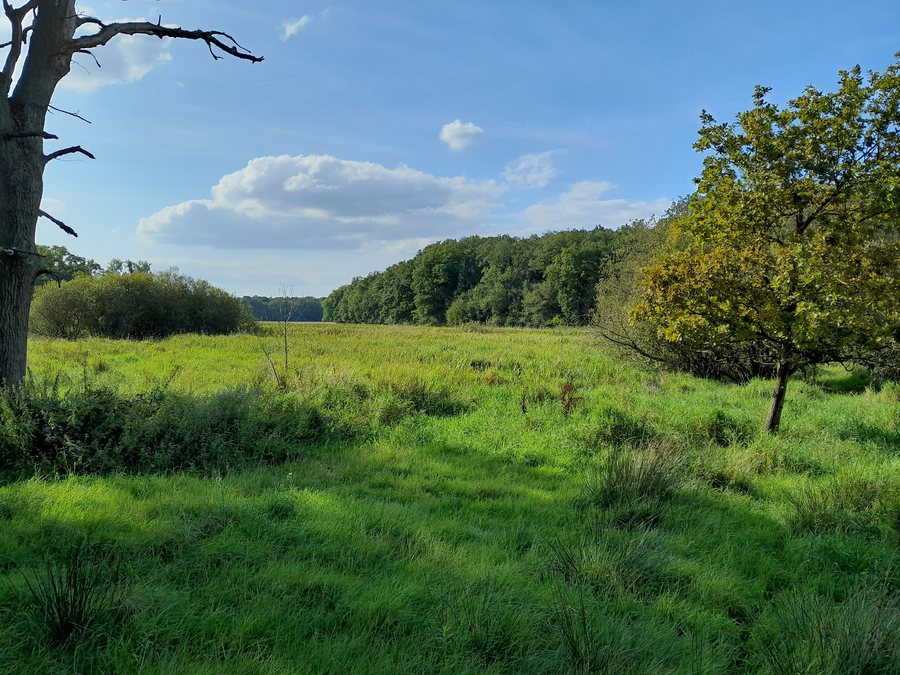 File:Gees Geesbrug Hooge Stoep Geeserstroom.jpg