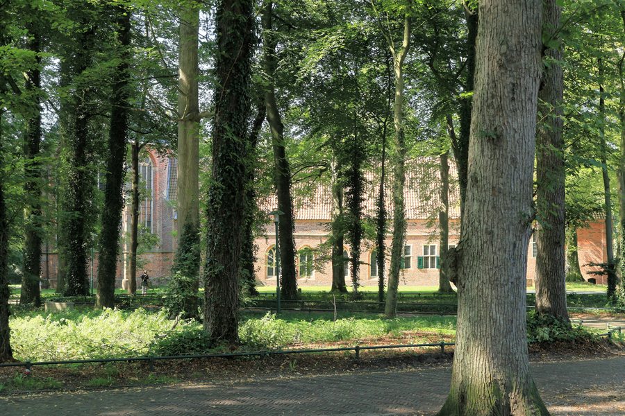 File:Westerwolde Ter Apel - Boslaan + Klooster 01 ies.jpg