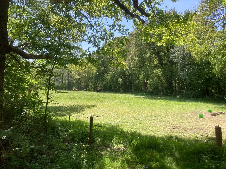 File:Kleibos Foxwolde Roden Roderesch Peize 18 46 52 564000.jpeg