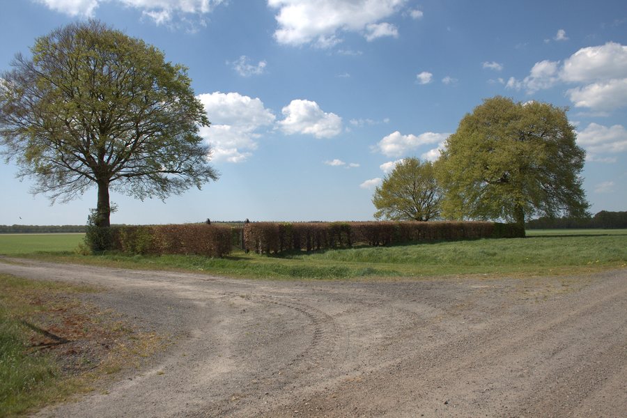 File:Smilde - Joodse begraafplaats-2016-002.jpg