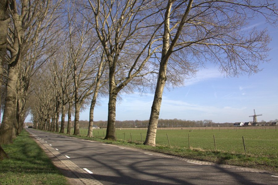 File:Het Oostromsdijkje in Werkhoven gaat dwars door de Vlowijker Polder.jpg