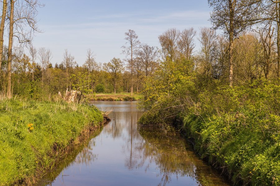 File:Wateruitloop Bekhofplas. Locatie, natuurterrein Beekdal Linde Bekhofplas 03.jpg