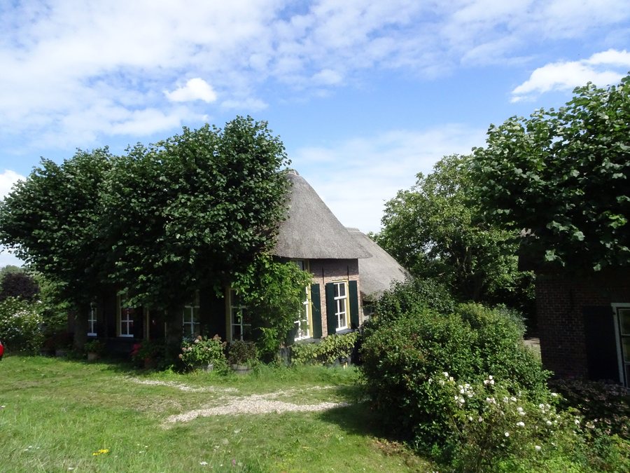 File:T-Boerderij Dreumel 2023-08-12.jpg