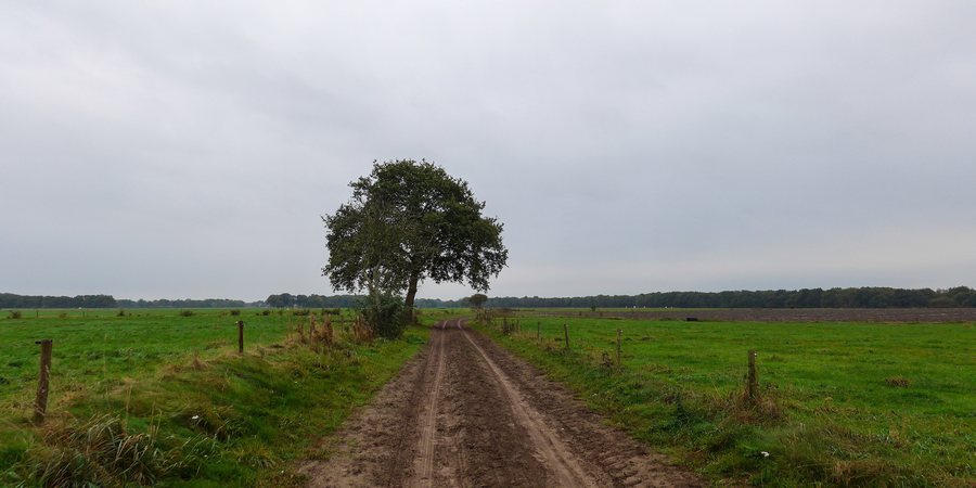 File:20141014 Kerkweg Yde-Vries Dr NL.jpg