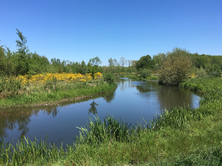 File:2019-05-15 Berkel bij Haarlo.jpg