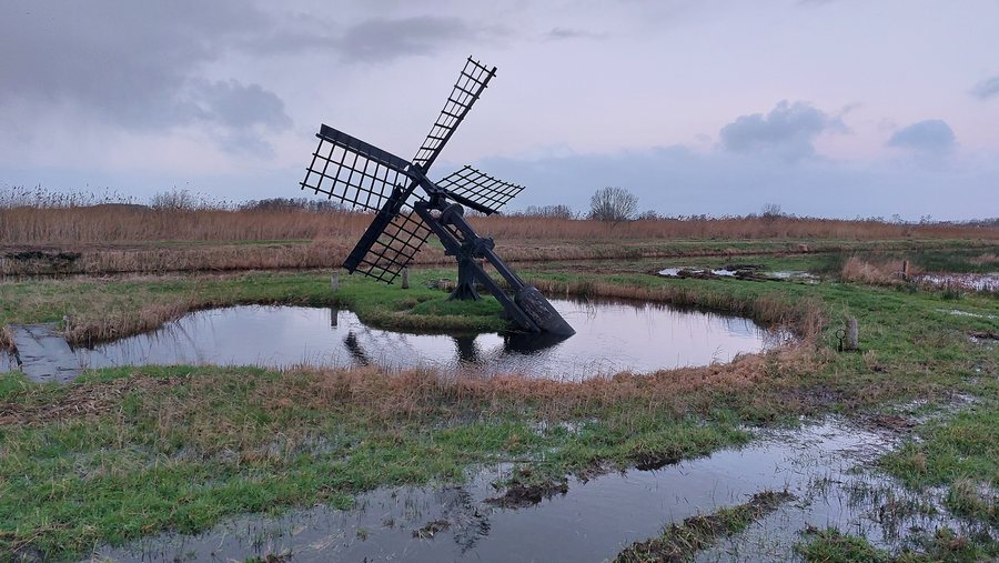 File:De Falom, Goddeleaze Singel, pealtsjasker.jpg