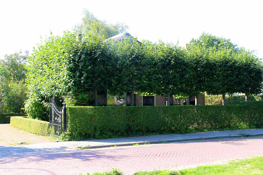 File:Rossum - Hogeweg 49 Boerderij.jpg