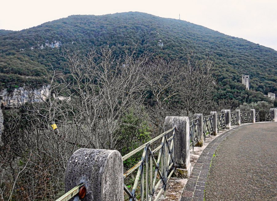 File:Colle e boschi di Monteluco.jpg