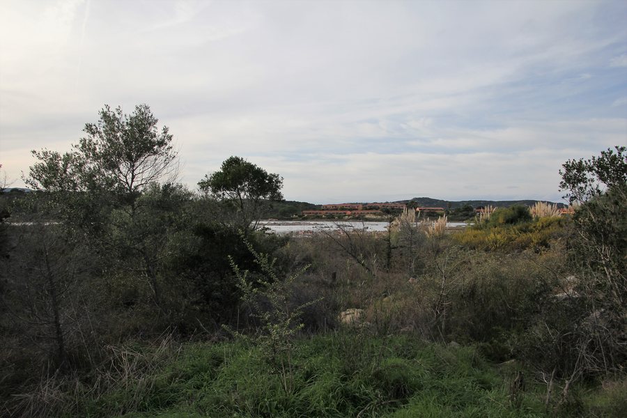 File:San Teodoro, stagno di Salina Bamba (01).jpg