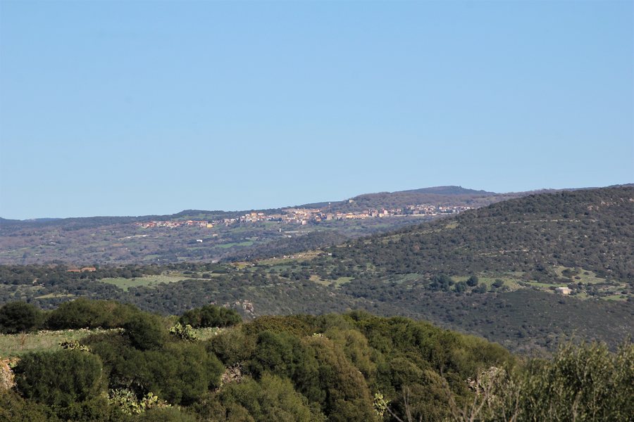 File:Neoneli, panorama (01).jpg
