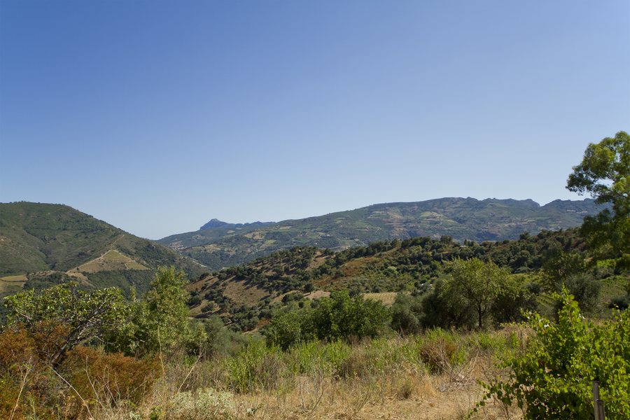 File:08040 Osini, Province of Ogliastra, Italy - panoramio.jpg