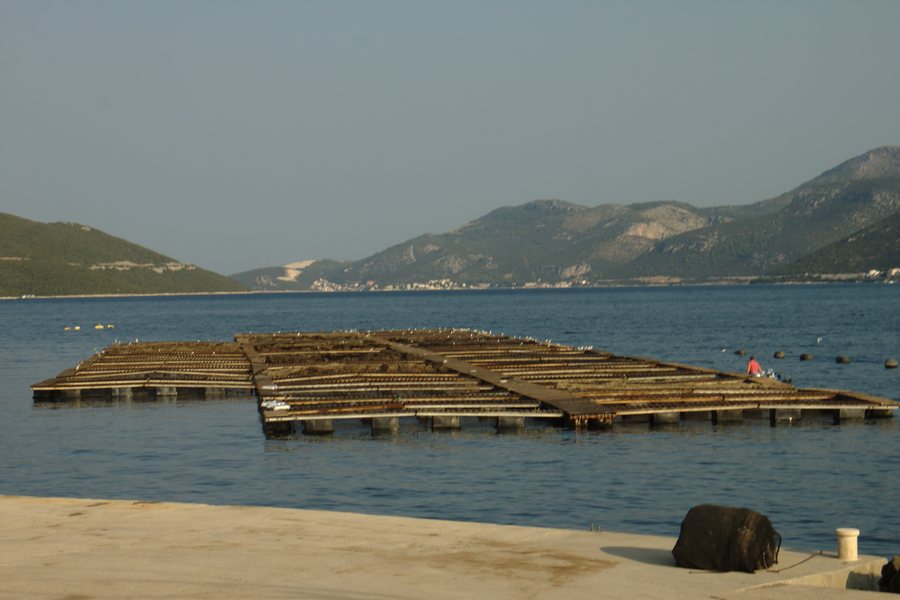File:Neum, záliv.jpg