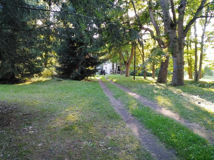 File:Park koło ryby.jpg