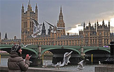 London, the Thames embankment. Foto: Belaya Alesya