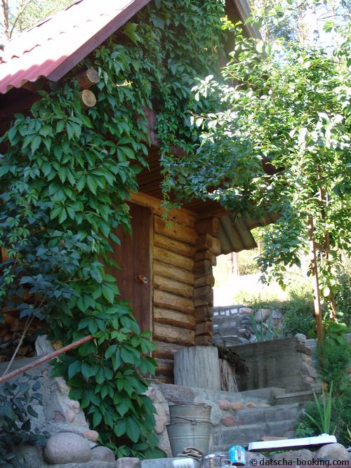 Баня на даче